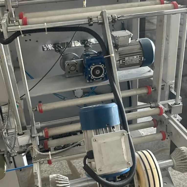 Automatic servo auger masala powder packing machine 100g to 1kg